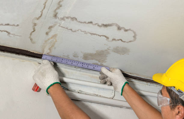 Reliable Mold Remediation contractor in Cumberland Center, ME by Water Damage Irwin